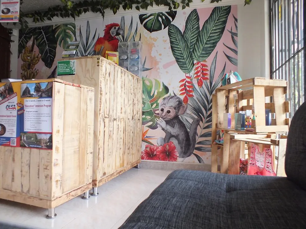 호스텔 Hostal Casa Paraiso 메딜린 콜롬비아